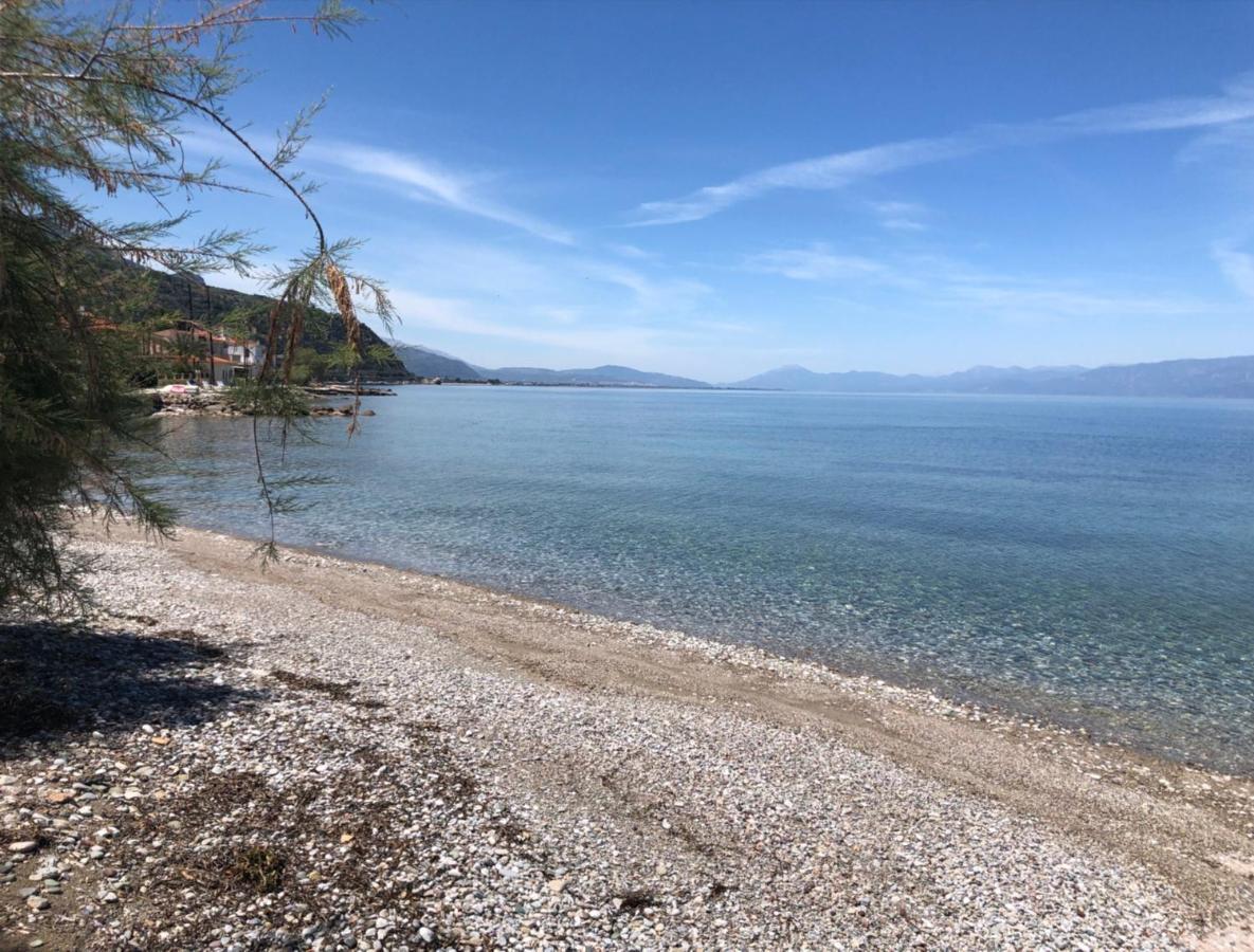 Paralia Platanou Seaview House Buitenkant foto