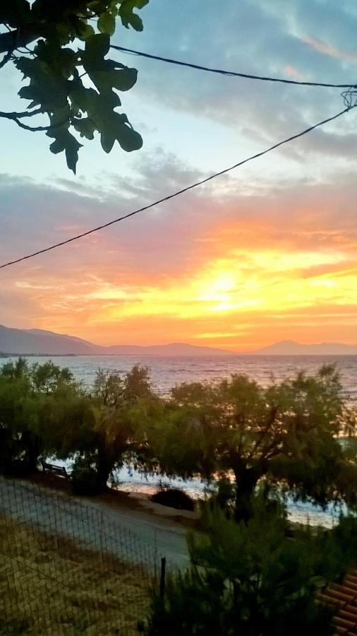 Paralia Platanou Seaview House Buitenkant foto